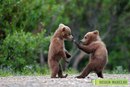 Міша Образник фотография #14 (источник - https://vk.com/id154122472)