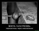 Олег Мірошник фотография #34 (источник - https://vk.com/id62308844)