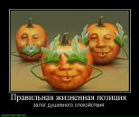 Фотография Кабанчикова Дмитрия