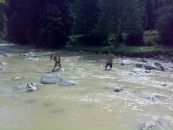 Ігор Павлов фотография #45 (источник - https://vk.com/id126389093)