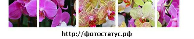 Інна Карча фотография #40 (источник - https://vk.com/id75144847)