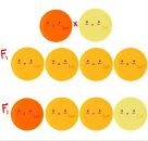 Фотография Верульской Марии