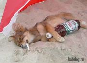 Ваня Сідунчак фотография #11 (источник - https://vk.com/id70485712)