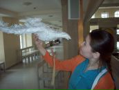 Фотография Makeev Anutka-Anush