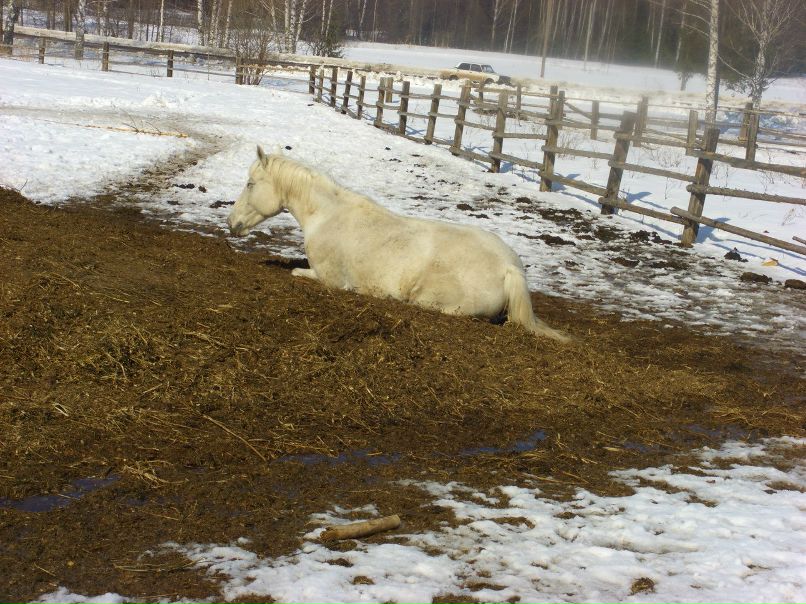 Людмила Плотникова фотография #46