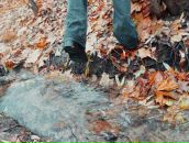 Фотография Черногоровой Ольги