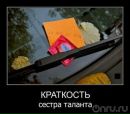 Фотография Серкова Евгения