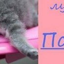 Іра Зайцева фотография #46 (источник - https://vk.com/id152811795)