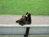 Владимир Камратов фотография #50 (источник - https://vk.com/id6040418)