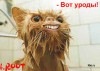 Марічка Баран фотография #5 (источник - https://vk.com/id156905442)