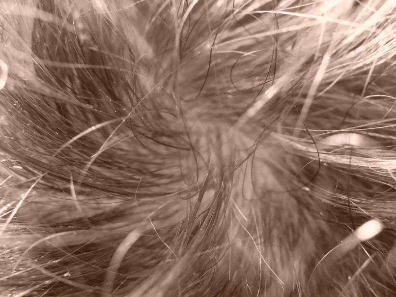 Дмитрий Паршиков фотография #20