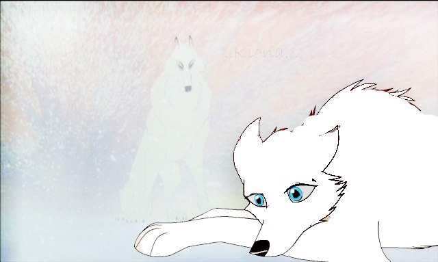 Cherry Wolf фотография #11