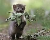 Фотография Astashin Sergey