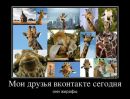 Фотография Тарасенко Кирилла