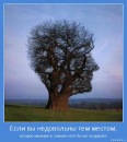Κирилл Κапустин фотография #43 (источник - https://vk.com/id89510540)