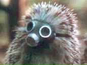 Вітя Дрозд фотография #41 (источник - https://vk.com/id120428498)