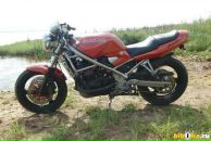 Фотография Телегина Макса