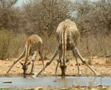 Фотография Синицыной Ольги