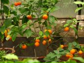 Alexey Dushen фотография #45 (источник - https://vk.com/id670180)