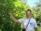 Фотография Францева Юлия