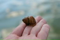 Ірина Ярова фотография #40 (источник - https://vk.com/id50555665)