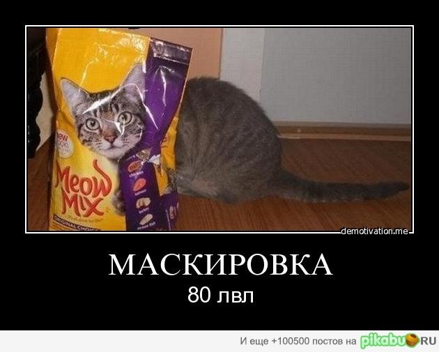 Денис Волков фотография #31