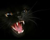 Фотография Козловского Сергея