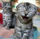 Нікіта Козяр фотография #42 (источник - https://vk.com/id165605826)