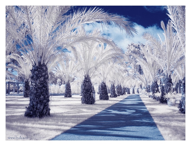 Enlight Enment фотография #41