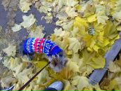 Вован Sid фотография #23 (источник - https://vk.com/id489035)