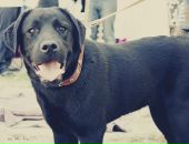 Фотография Макарова Михаила