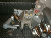 Фотография Власовой Екатерины