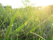 Фотография Чернышова Торты Елена