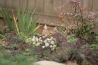 Slash Dot фотография #39 (источник - https://vk.com/id614985)