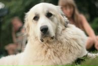 Slash Dot фотография #38 (источник - https://vk.com/id614985)