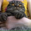 Шелько ♥♥♥♥ фотография #19 (источник - https://vk.com/id105509444)