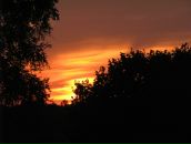 Фотография Чекалиной Екатерины