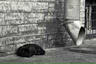 Фотография Шипуновой Анны