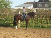 Фотография Тарасенко Ксении