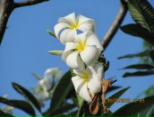 Фотография Холкиной Марины