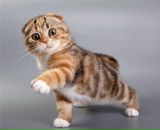 Віталік Андреєв фотография #34 (источник - https://vk.com/id11830578)