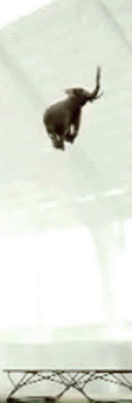 Василий Суслаев фотография #16