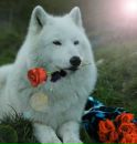 Андрій Ковальов фотография #47 (источник - https://vk.com/id118756675)