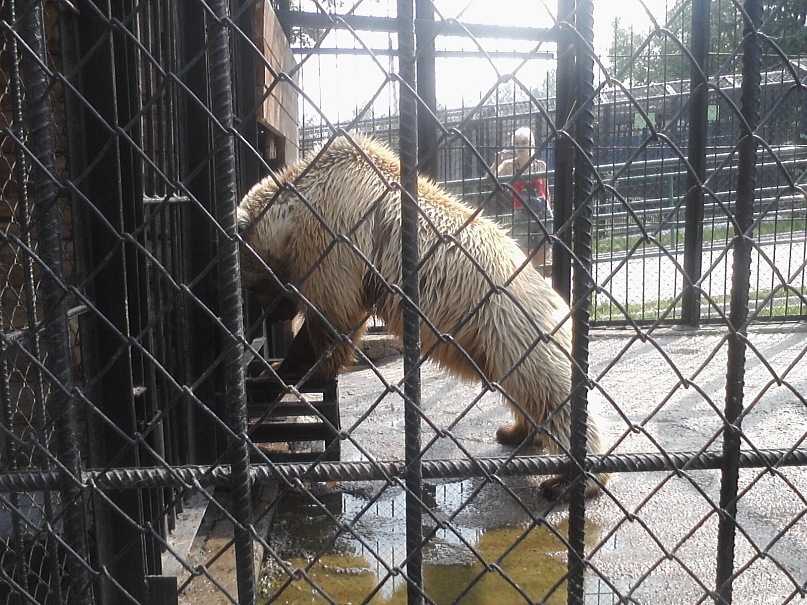 Дмитрий Иост фотография #21