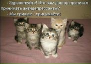 Фотография Юлия Дорогавцева