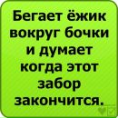 Саша Стрембіцький фотография #50 (источник - https://vk.com/id59533980)