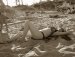  фотография #47