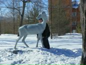 Иван Плотников фотография #13 (источник - https://vk.com/id80477798)