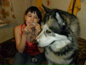 Фотография Лаевской Алисы