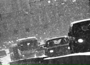 Фотография Емельяненко Марии